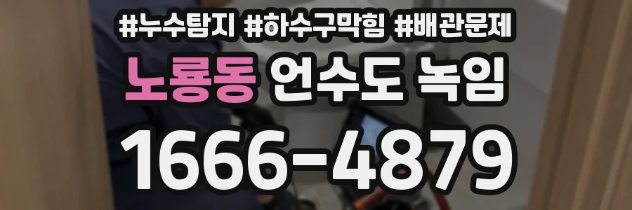 노룡동 언수도 녹임
