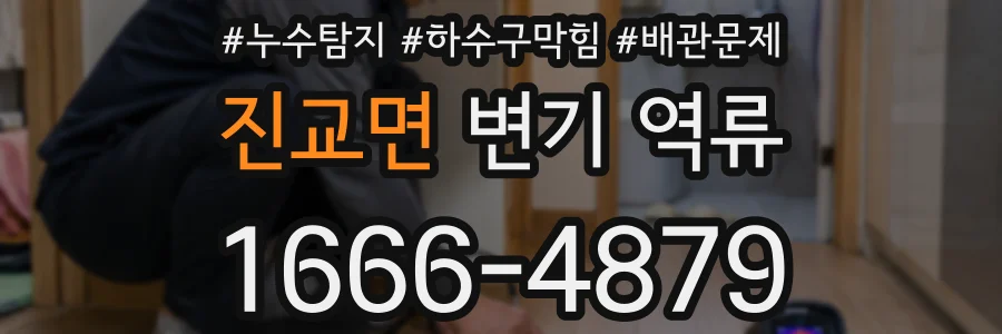 진교면 변기 역류