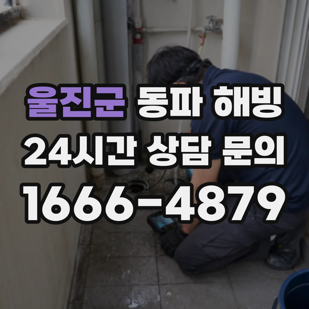 울진군 동파 해빙