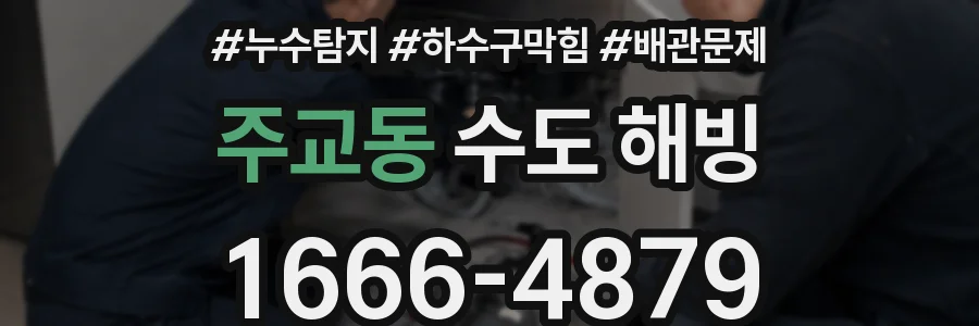 주교동 수도 해빙