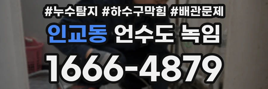 인교동 언수도 녹임