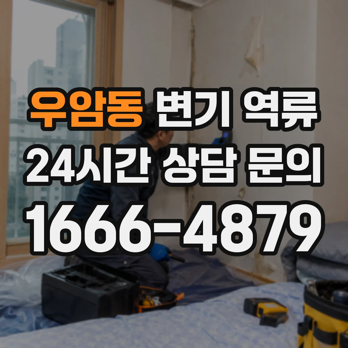 우암동 변기 역류