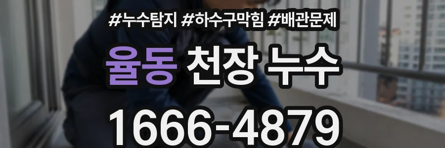 율동 천장 누수