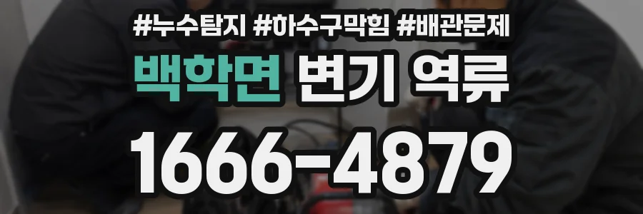 백학면 변기 역류