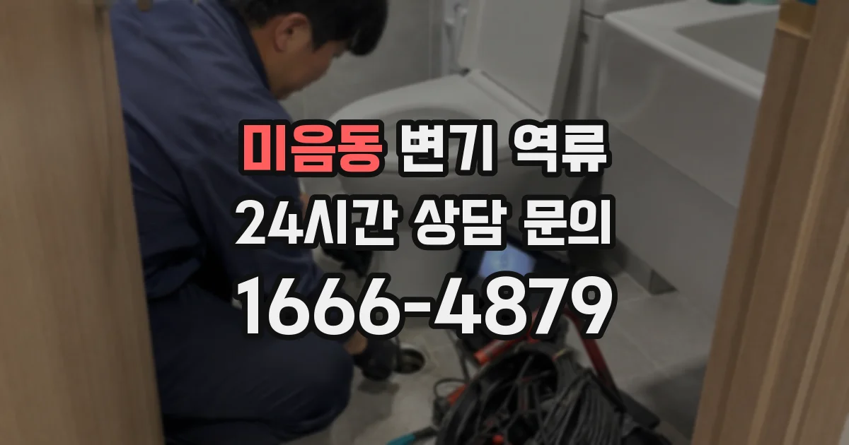 미음동 변기 역류