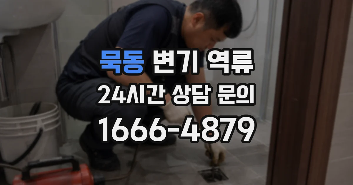 묵동 변기 역류