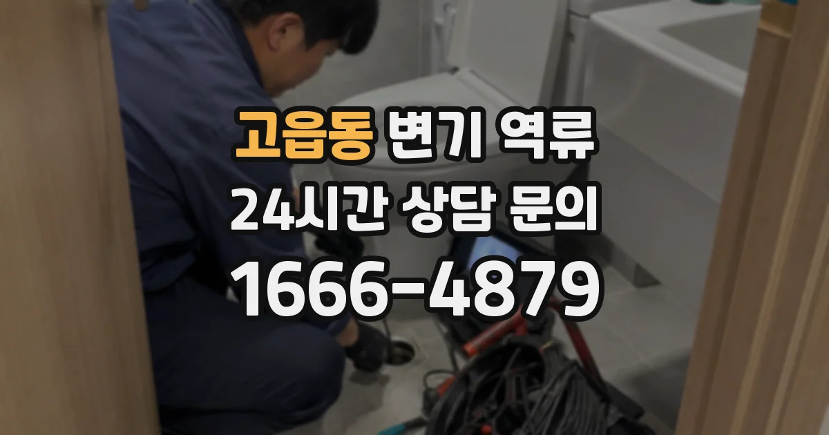 고읍동 변기 역류