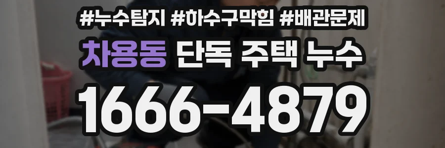 차용동 단독 주택 누수