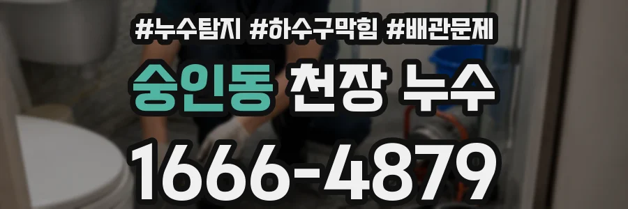 숭인동 천장 누수