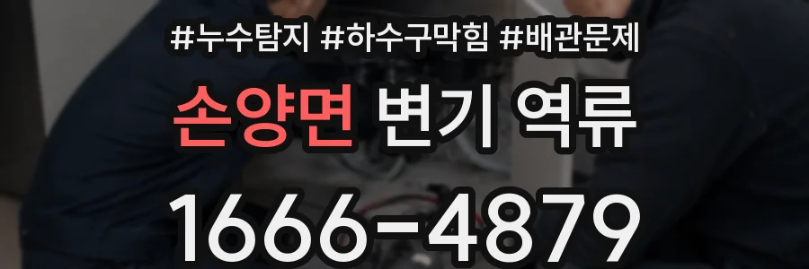 손양면 변기 역류