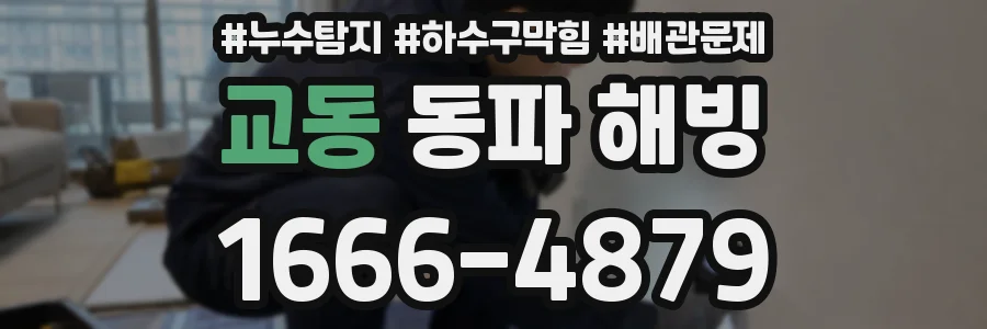 교동 동파 해빙