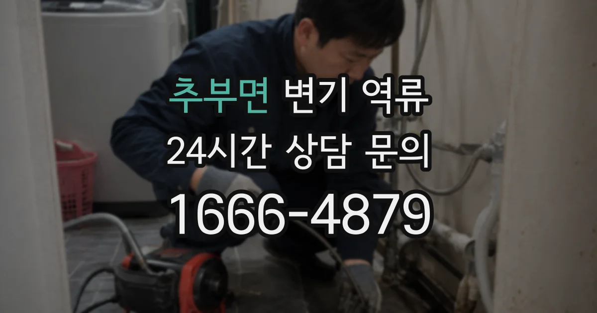 추부면 변기 역류