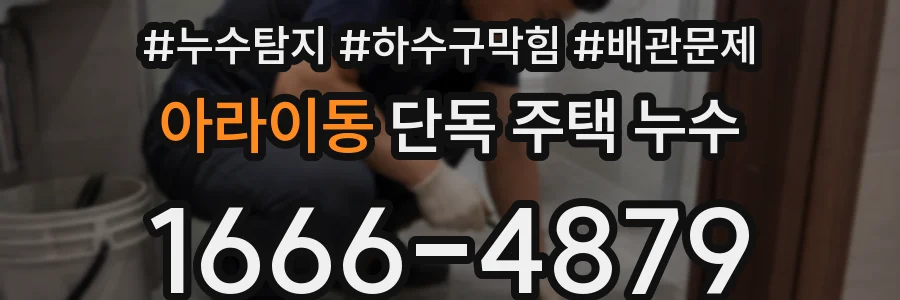 아라이동 단독 주택 누수