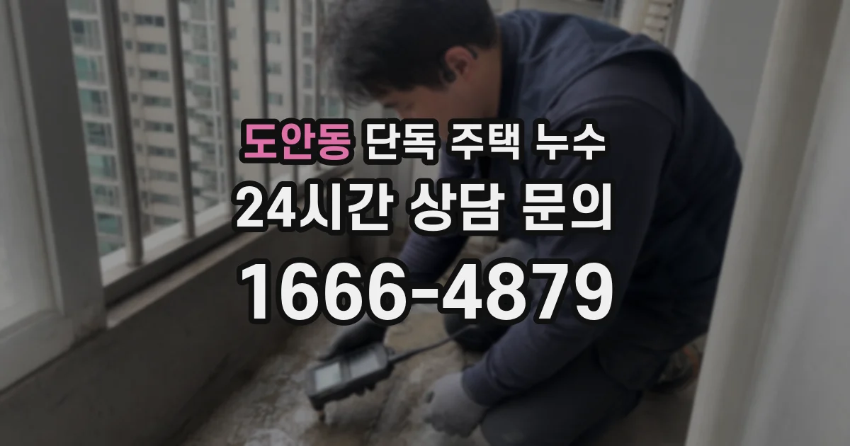 도안동 단독 주택 누수