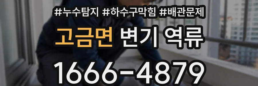 고금면 변기 역류