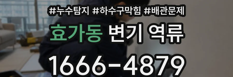 효가동 변기 역류