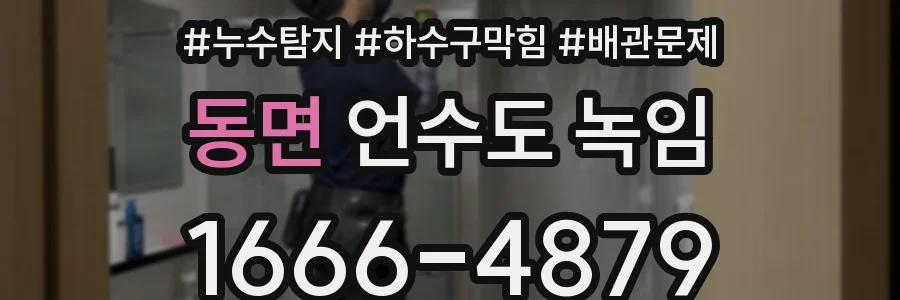 동면 언수도 녹임