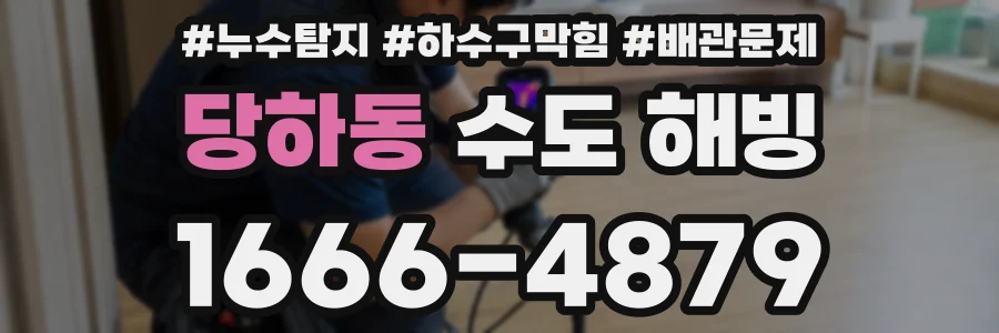 당하동 수도 해빙