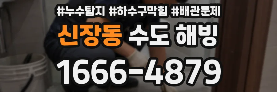신장동 수도 해빙