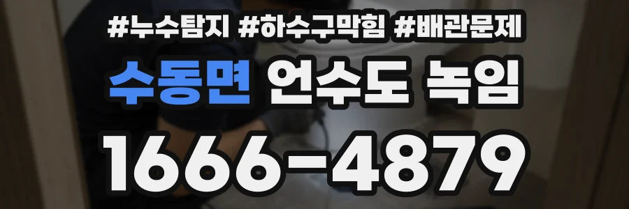 수동면 언수도 녹임