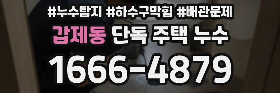 갑제동 단독 주택 누수