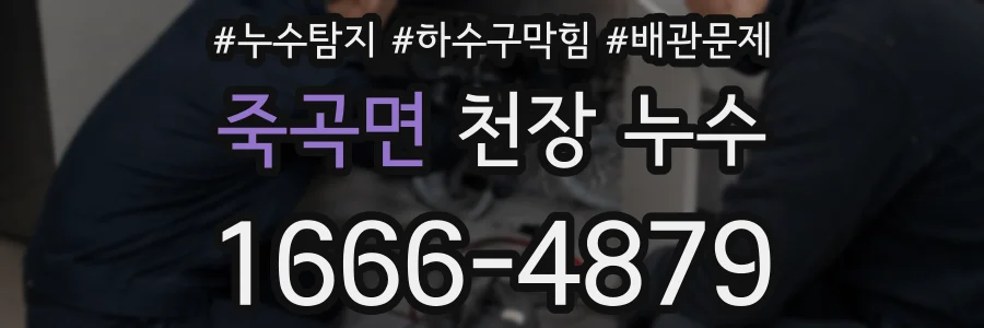 죽곡면 천장 누수