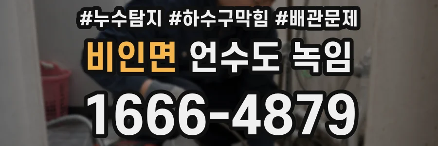 비인면 언수도 녹임