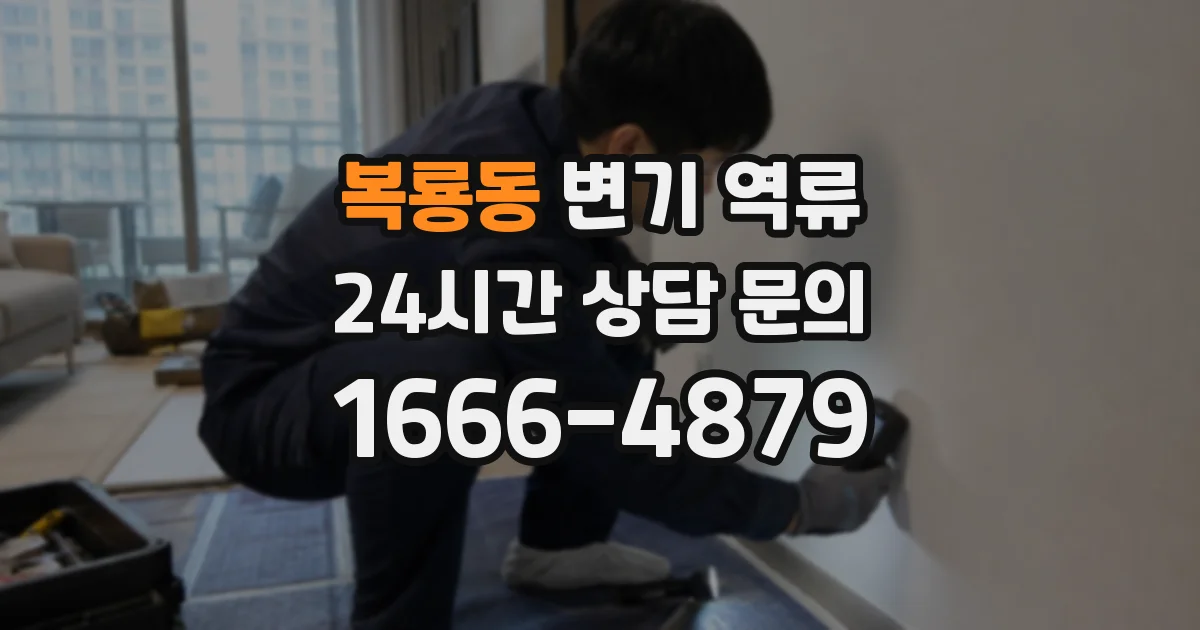 복룡동 변기 역류