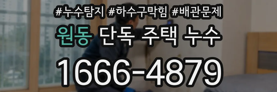 원동 단독 주택 누수