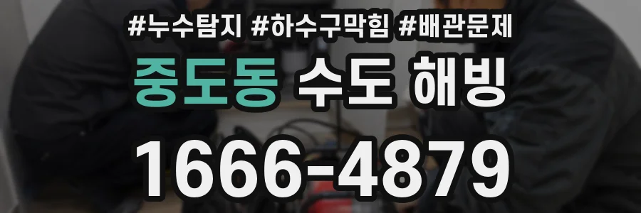 중도동 수도 해빙