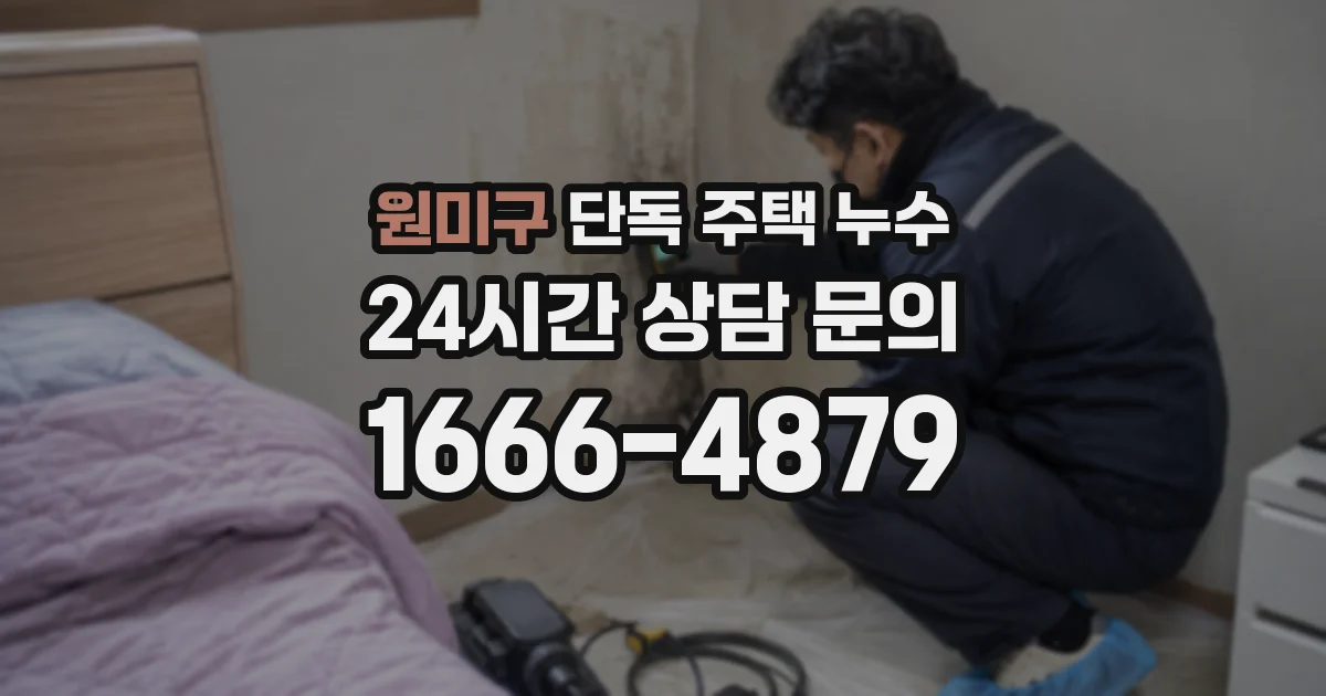 원미구 단독 주택 누수