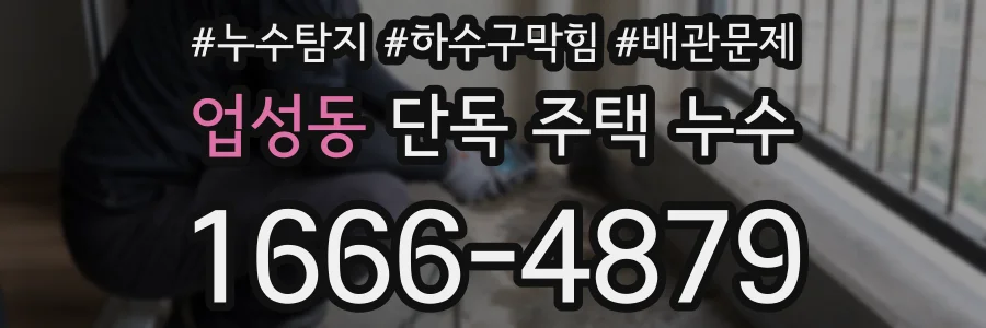 업성동 단독 주택 누수