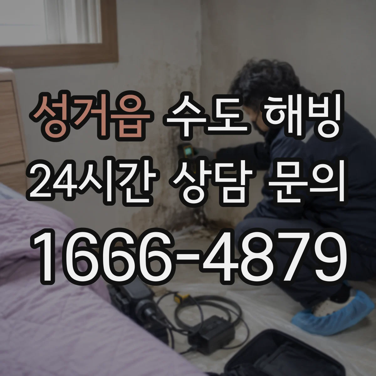 성거읍 수도 해빙
