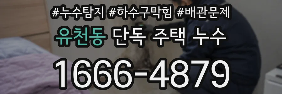 유천동 단독 주택 누수