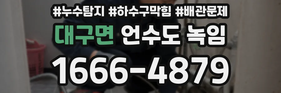 대구면 언수도 녹임