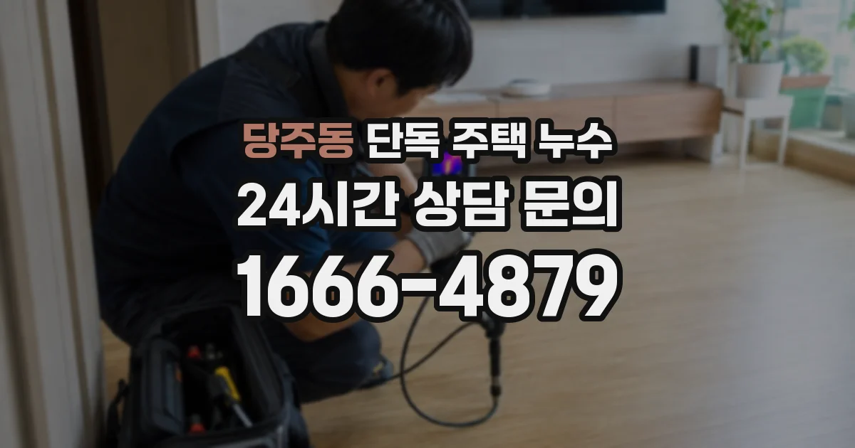 당주동 단독 주택 누수