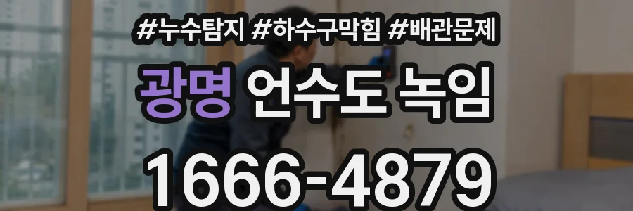 광명 언수도 녹임