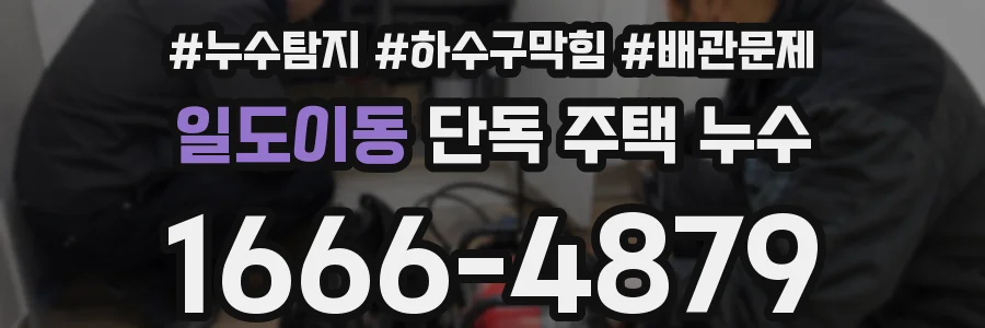 일도이동 단독 주택 누수