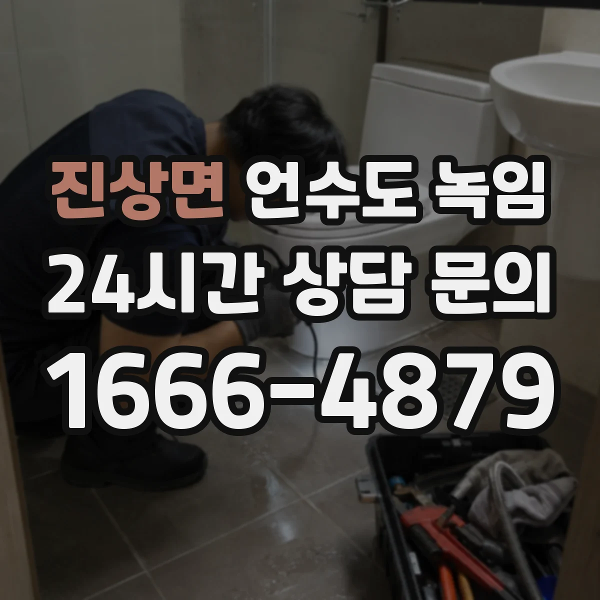 진상면 언수도 녹임