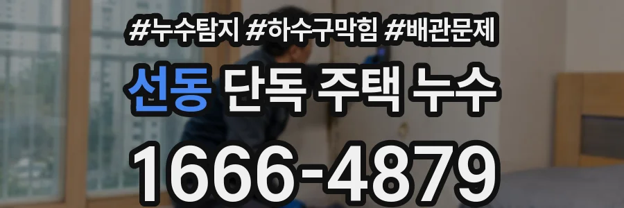 선동 단독 주택 누수
