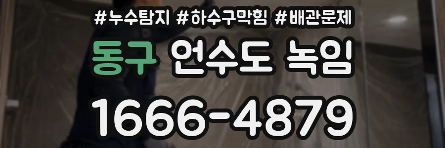 동구 언수도 녹임