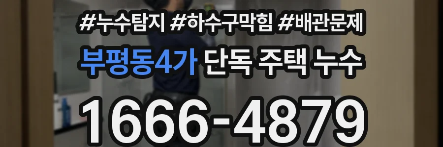 부평동4가 단독 주택 누수