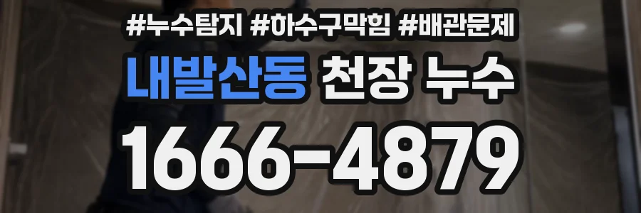 내발산동 천장 누수