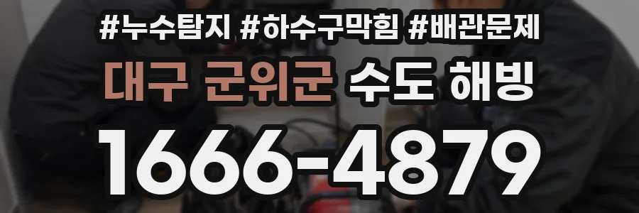 대구 군위군 수도 해빙