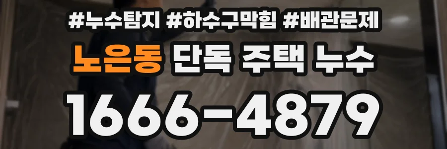 노은동 단독 주택 누수
