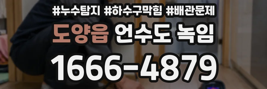 도양읍 언수도 녹임