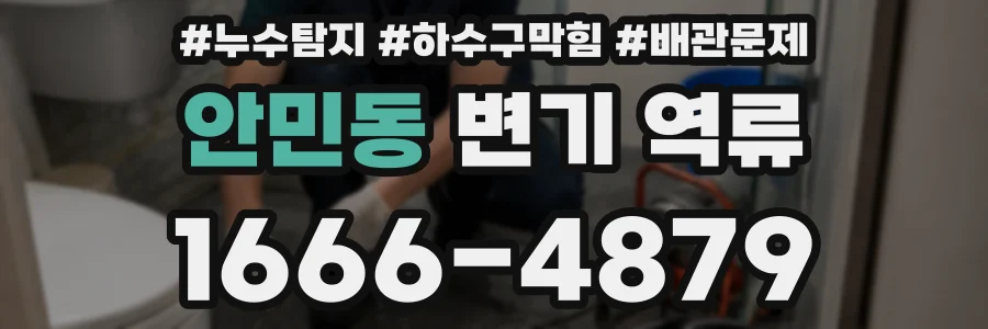 안민동 변기 역류