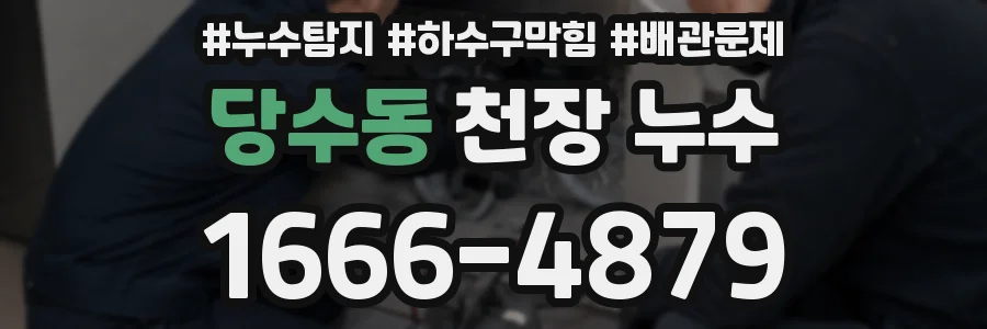 당수동 천장 누수