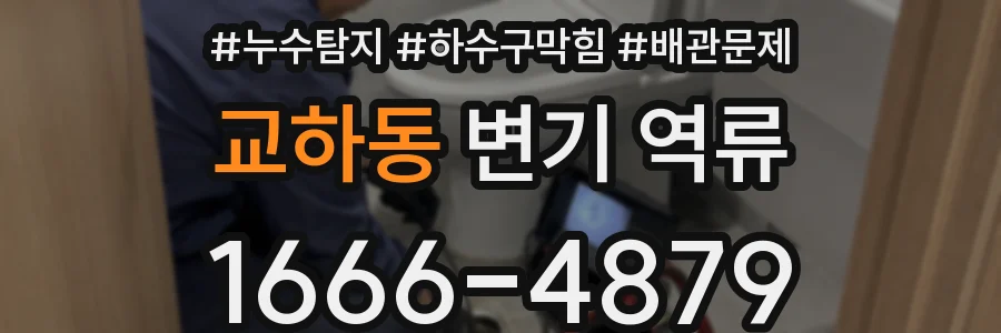 교하동 변기 역류
