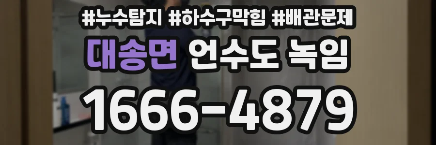 대송면 언수도 녹임